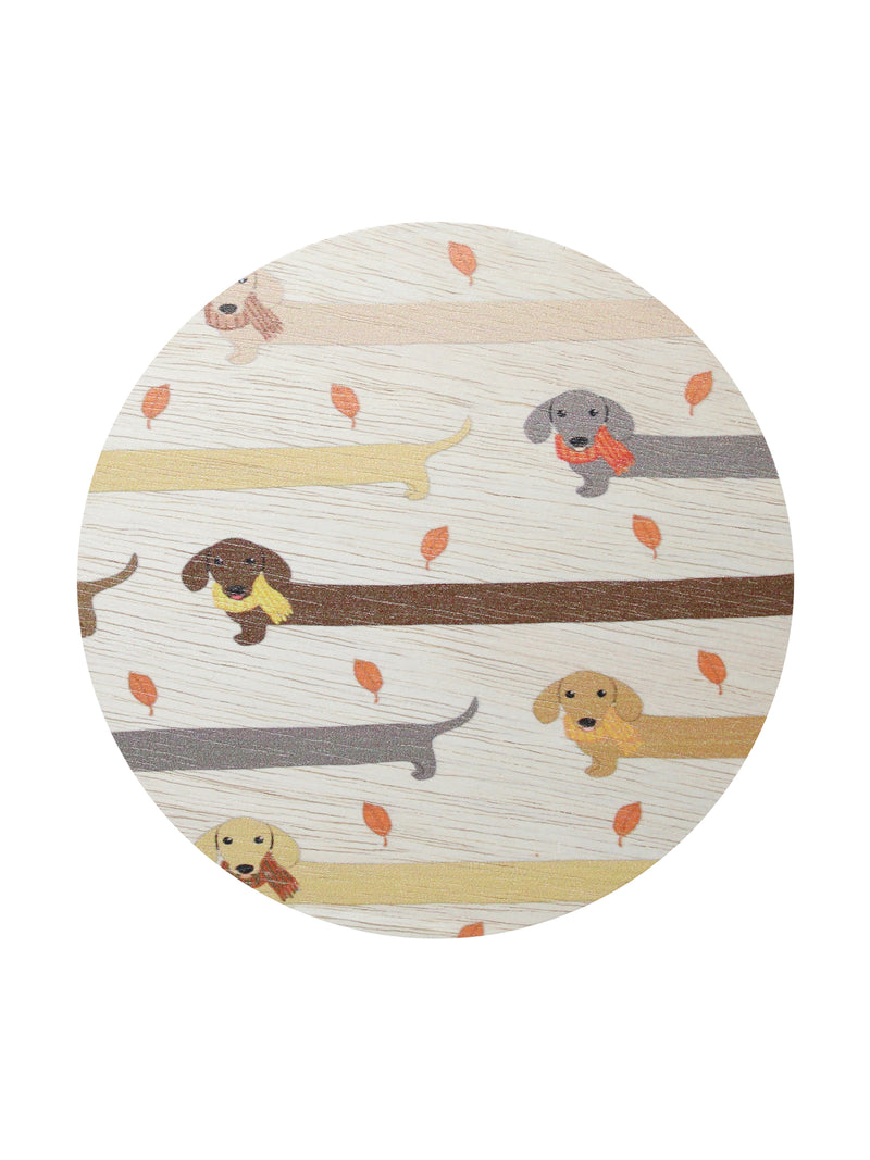 Sand + Paws Apple Cider 12 oz scented candle